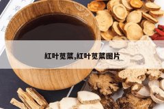 <b>��Ҷ�Ȳ�,��Ҷ�Ȳ�ͼƬ</b>