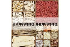 <b>�ƽ���ҩ����ֲ,������ҩ����ֲ</b>