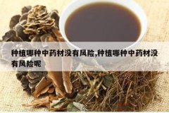 <b>��ֲ������ҩ��û�з���,��ֲ������ҩ��û�з�����</b>