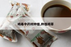 <b>������ҩ����ֲ,��ֲ����</b>