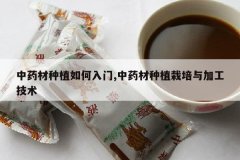 <b>��ҩ����ֲ�������,��ҩ����ֲ������ӹ�����</b>