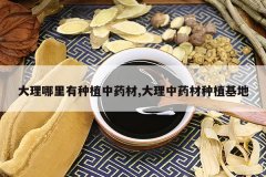 <b>������������ֲ��ҩ��,������ҩ����ֲ����</b>