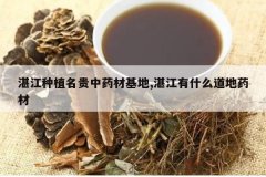 <b>տ����ֲ������ҩ�Ļ���,տ����ʲô����ҩ��</b>