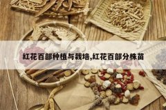 <b>�컨�ٲ���ֲ������,�컨�ٲ�������</b>