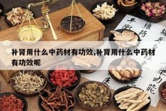 <b>������ʲô��ҩ���й�Ч,������ʲô��ҩ���й�Ч��</b>