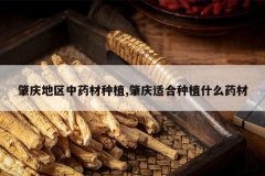 <b>���������ҩ����ֲ,�����ʺ���ֲʲôҩ��</b>