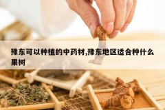 <b>ԥ��������ֲ����ҩ��,ԥ�������ʺ���ʲô����</b>