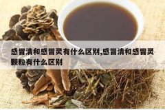 <b>��ð��͸�ð����ʲô����,��ð��͸�ð�������ʲô����</b>