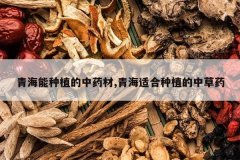 <b>�ຣ����ֲ����ҩ��,�ຣ�ʺ���ֲ���в�ҩ</b>