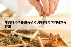 <b>��ҩ����÷�����빦Ч,��ҩ����÷�Ĺ�Ч������</b>