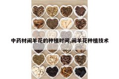 <b>��ҩ�����򻨵���ֲʱ��,������ֲ����</b>