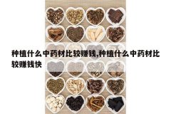 <b>��ֲʲô��ҩ�ıȽ�׬Ǯ,��ֲʲô��ҩ�ıȽ�׬Ǯ��</b>