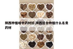 <b>������ֲɶ��ҩ�ĺ�,�����ʺ���ֲʲô����ҩ��</b>