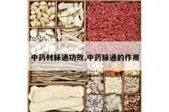 <b>��ҩ����ͨ��Ч,��ҩ��ͨ������</b>