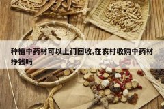 <b>��ֲ��ҩ�Ŀ������Ż���,��ũ���չ���ҩ����Ǯ��</b>