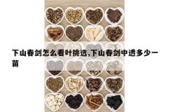 <b>��ɽ������ô��Ҷ��ѡ,��ɽ������͸����һ��</b>