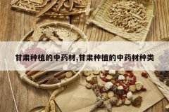 <b>������ֲ����ҩ��,������ֲ����ҩ������</b>