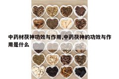 <b>��ҩ������Ч������,��ҩ����Ĺ�Ч��������ʲô</b>