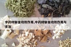 <b>��ҩ������Ч����,��ҩ������Ч����������</b>