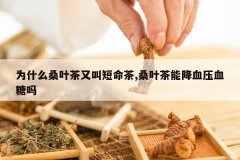 <b>ΪʲôɣҶ���ֽж�����,ɣҶ���ܽ�ѪѹѪ����</b>