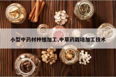 <b>С����ҩ����ֲ�ӹ�,�в�ҩ����ӹ�����</b>