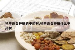 <b>�＾�ʺ���ֲ����ҩ��,�＾�ʺ���ֲʲô��ҩ��</b>