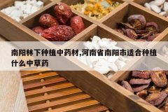 <b>����������ֲ��ҩ��,����ʡ�������ʺ���ֲʲô�в�ҩ</b>