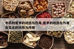 <b>��ҩ�ı�׵Ĺ�Ч������,��׵Ĺ�Ч�����ü����ɵĹ�Ч������</b>