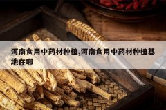 <b>����ʳ����ҩ����ֲ,����ʳ����ҩ����ֲ��������</b>