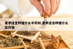 <b>�ļ�������ֲʲô��ҩ��,�ļ��ʺ���ֲʲôũ����</b>