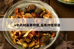 <b>a��ҩ��ɣ����ֲ,ɣ����ֲ��Ŀ</b>