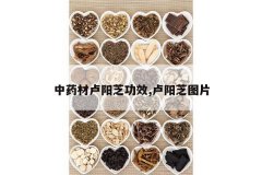 <b>��ҩ��¬��֥��Ч,¬��֥ͼƬ</b>