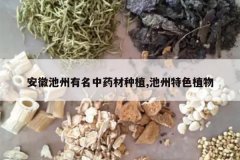 <b>���ճ���������ҩ����ֲ,������ɫֲ��</b>