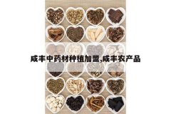 <b>�̷���ҩ����ֲ����,�̷�ũ��Ʒ</b>