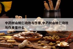 <b>��ҩ��ɽ���ʹ�Ч������,��ҩ��ɽ���ʹ�Ч��������ʲô</b>