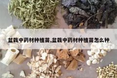 <b>������ҩ����ֲ��,������ҩ����ֲ����ô��</b>