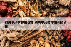 <b>�Ĵ���ҩ����ֲ����,�Ĵ���ҩ����ֲ���޹�˾</b>