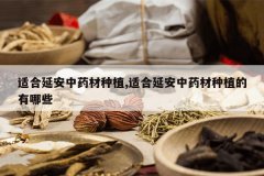 <b>�ʺ��Ӱ���ҩ����ֲ,�ʺ��Ӱ���ҩ����ֲ������Щ</b>