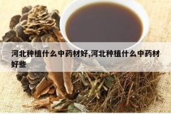 <b>�ӱ���ֲʲô��ҩ�ĺ�,�ӱ���ֲʲô��ҩ�ĺ�Щ</b>