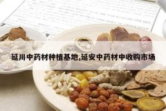 <b>�Ӵ���ҩ����ֲ����,�Ӱ���ҩ�����չ��г�</b>