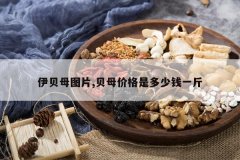 <b>����ĸͼƬ,��ĸ�۸��Ƕ���Ǯһ��</b>