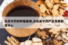 <b>̫����ҩ����ֲ����,̫������ҩ��ҵ��չ��������</b>