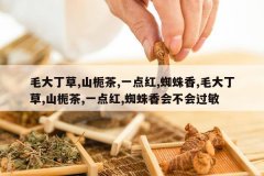 <b>ë�󶡲�,ɽ�ٲ�,һ���,֩����,ë�󶡲�,ɽ�ٲ�,һ���,֩����</b>