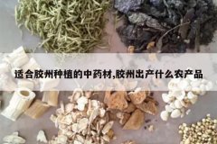 <b>�ʺϽ�����ֲ����ҩ��,���ݳ���ʲôũ��Ʒ</b>