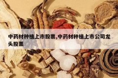 <b>��ҩ����ֲ���й�Ʊ,��ҩ����ֲ���й�˾��ͷ��Ʊ</b>