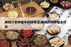 <b>����������ֲ��ҩ�ĵ绰,����ҩ����ֲ������</b>