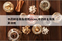 <b>��ҩ�����Ƽ���Чzicao,��ҩ�����Ƽ��书Ч</b>