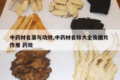 <b>��ҩ����¼�빦Ч,��ҩ�����ƴ�ȫ��ͼƬ ���� ҩЧ</b>