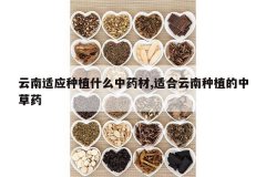 <b>������Ӧ��ֲʲô��ҩ��,�ʺ�������ֲ���в�ҩ</b>