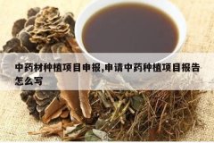 <b>��ҩ����ֲ��Ŀ�걨,������ҩ��ֲ��Ŀ������ôд</b>